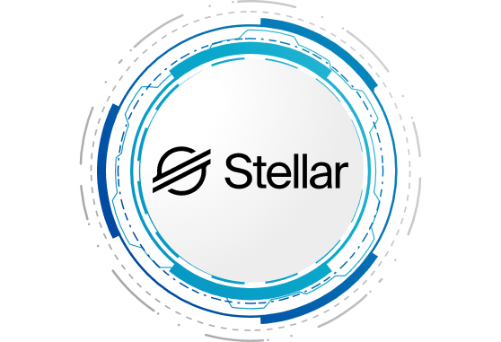 Why choose Stellar For your Project?