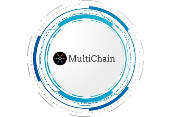Why Choose Multichain for your Blockchain Project