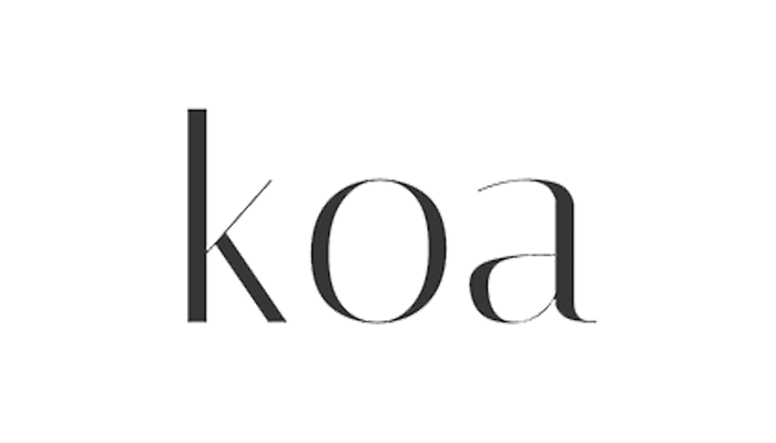 koa node developer