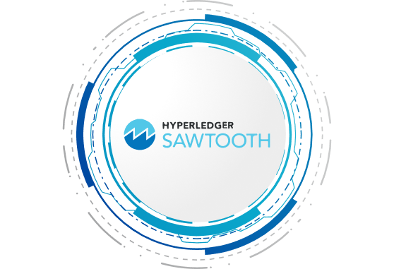 What is Hyperledger Sawtooth Blockchain