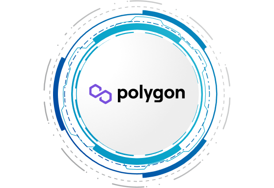 Why Choose Polygon for your Blockchain Project