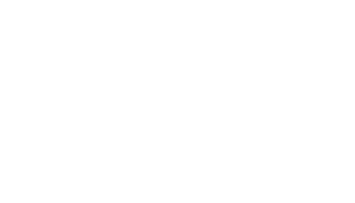 JP Morgan Chase and Co