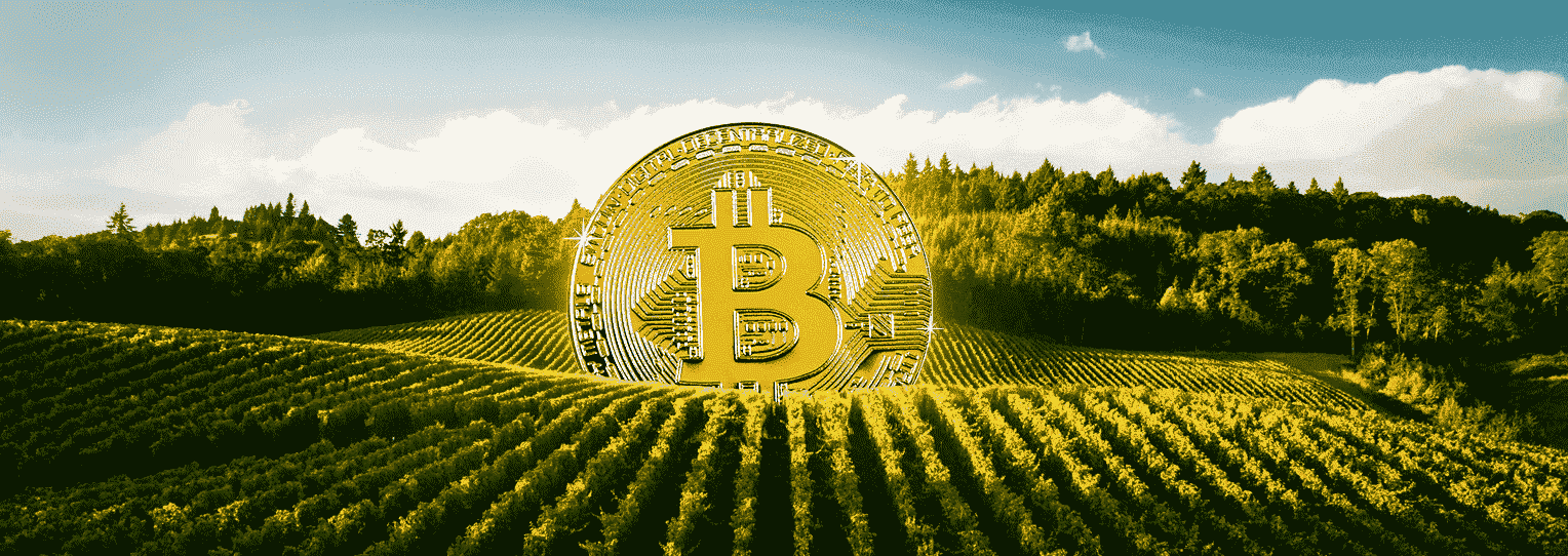 List of best Yield farming crypto platforms 2022 | Accubits